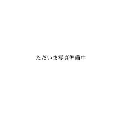 ����J�V�������s���~�b�h�ې�p�H��